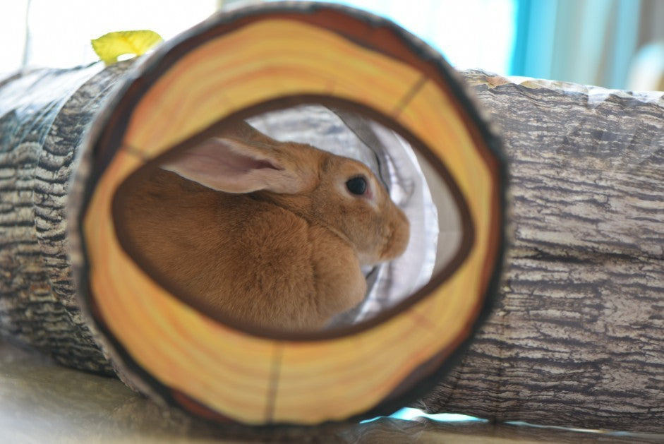 3-5 Pattern Tunnel for Pets
